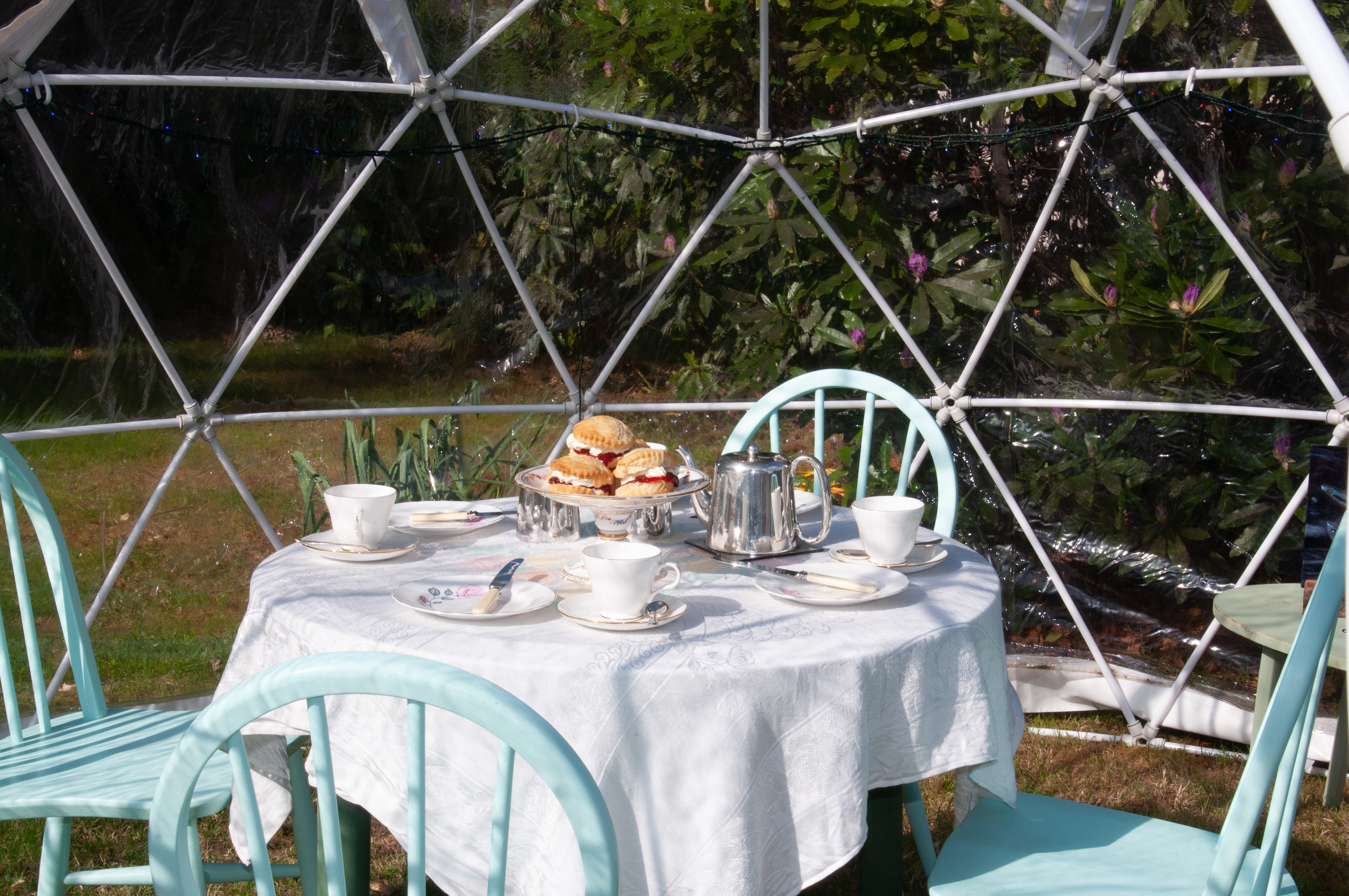 Tea in a dome